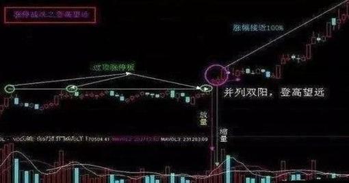 黑马形态5:"海豚嘴"形态及技术要点