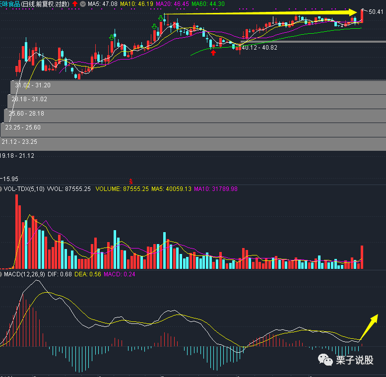 栗子布局:威派格已经收入囊中,其他两只给机会吗?