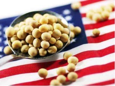 “中国下令停购美国农产品”传闻被证伪，中国正常采购美国大豆中