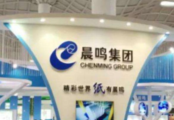 晨鸣纸业资金紧绷偿债承压政府补助还能吃多久