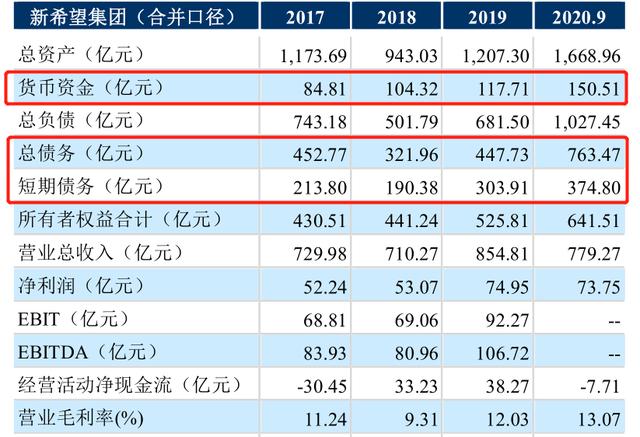 新希望集团财务摘要