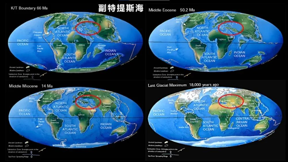 美国，是个什么样的国家？