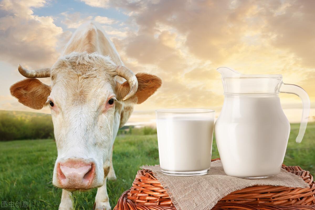 Cow And Milk, Vaca Comiendo, Cow Material, Cows PNG Transparent ...