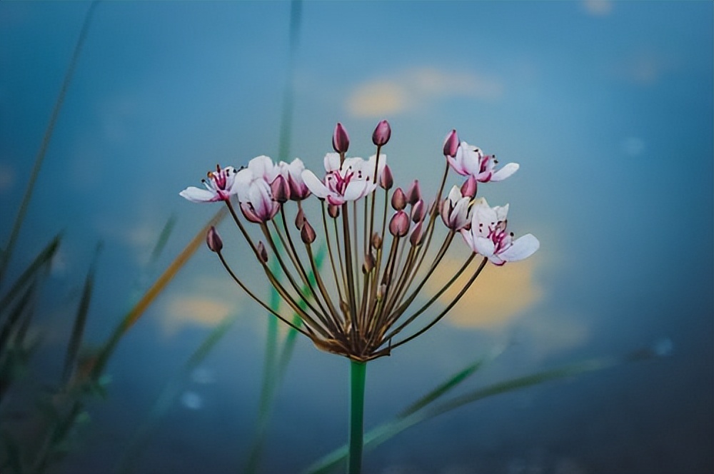 金融衍生品是什么_期权算不算是金融衍生品_期权期货其他衍生品