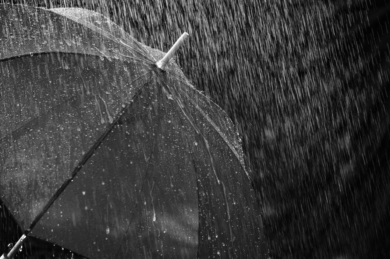 风雨01.jpg