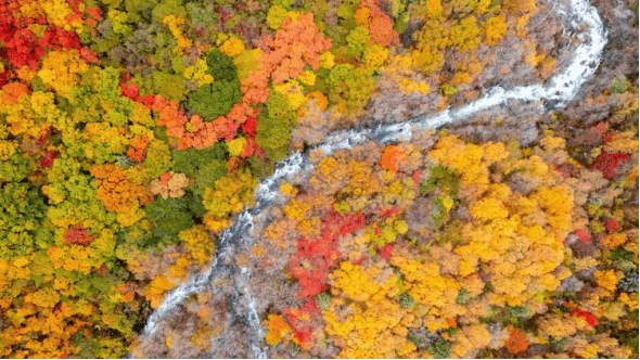 流淌在高山河谷间的岷江