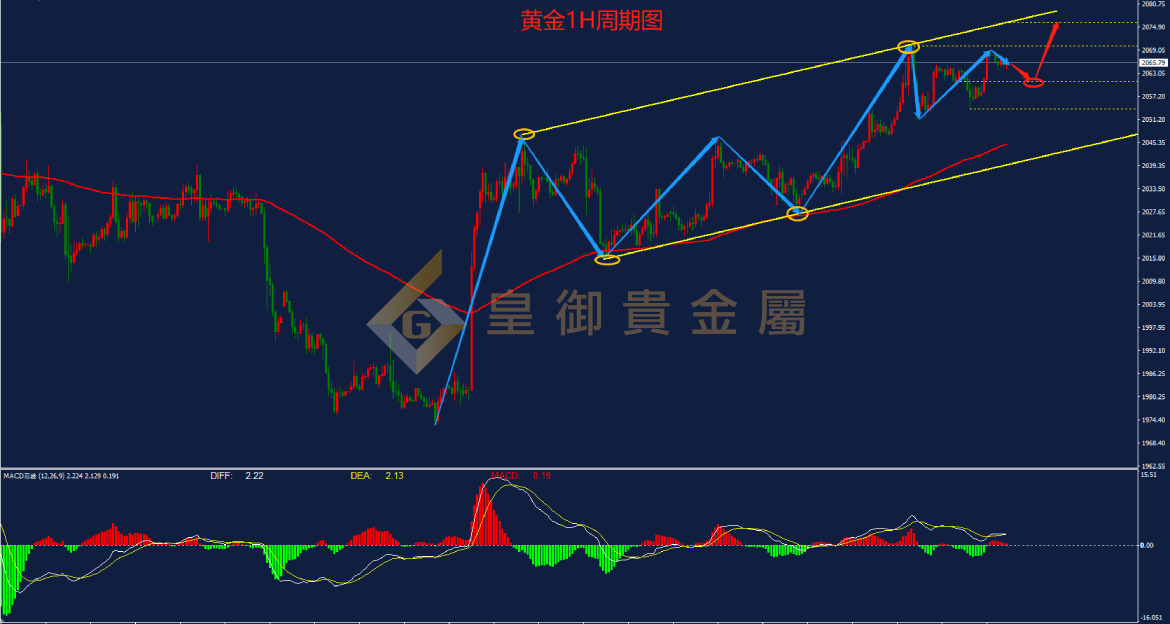 皇御黄金走势图 皇御黄金走势图