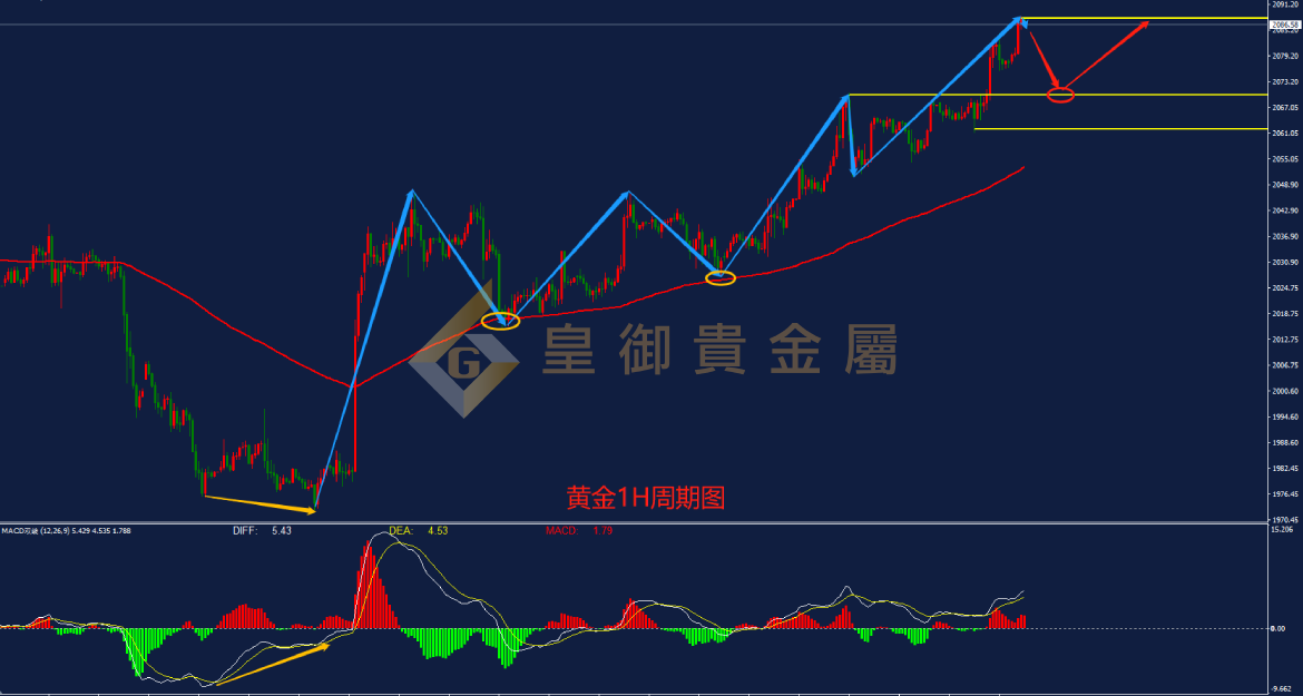 皇御黄金走势图 皇御黄金走势图