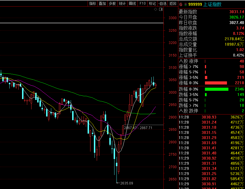 李志林-忠言：国家队打压大盘股洗盘，大盘震荡缩量收复3030