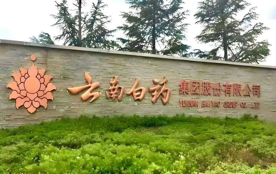 云南白药业绩增速放缓，研发投入率0.87%何以支撑千亿市值？