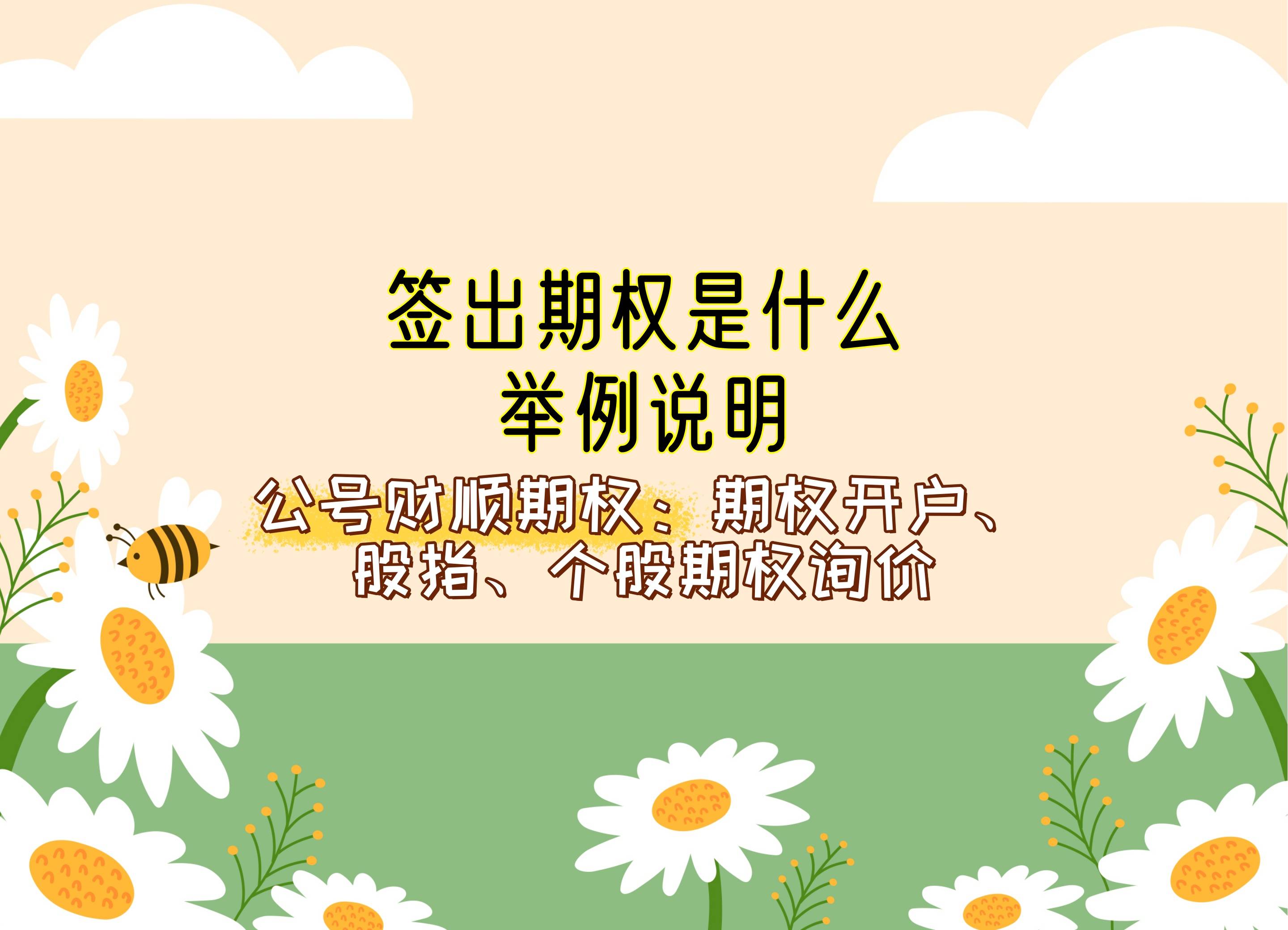 签出期权是什么，举例说明_中金在线财经号