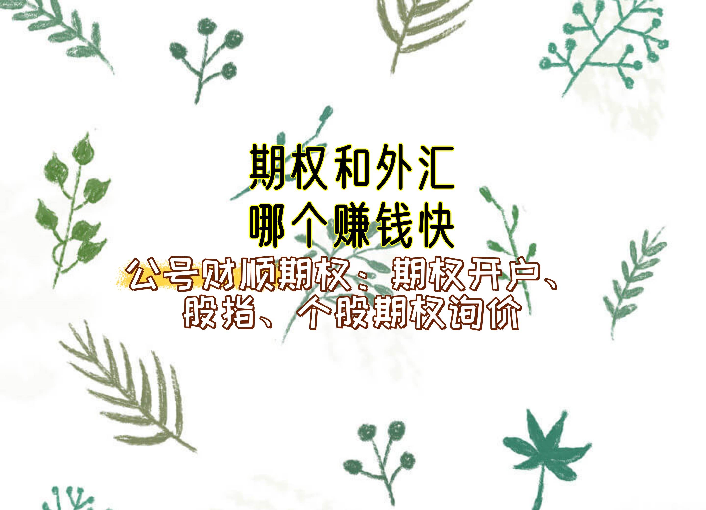 期权和外汇哪个赚钱快？_中金在线财经号