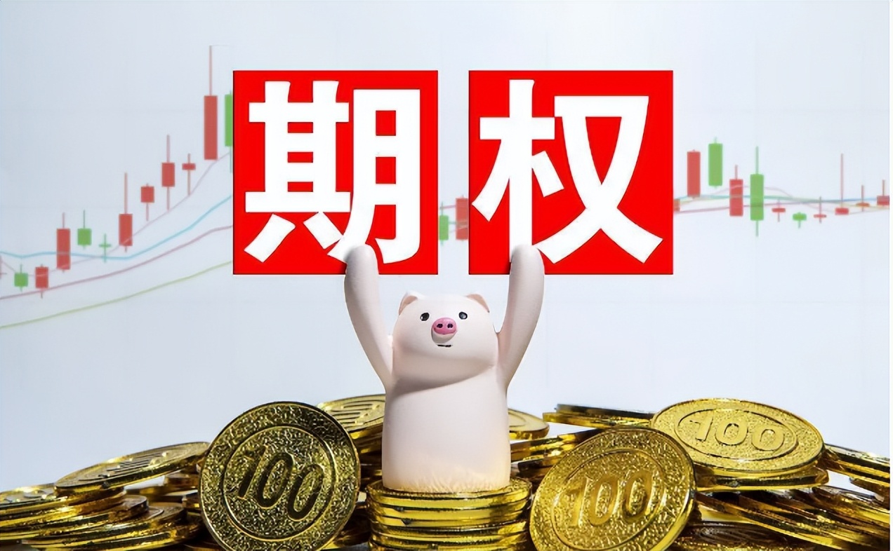 股票ETF期权手续费最低多少钱?_中金在线财经号