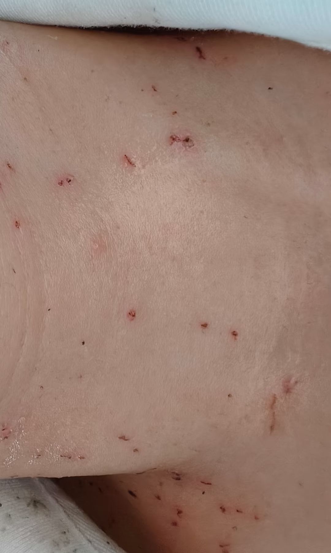 get?code=Mzc4ZGY2YTY2OTlhYmU4YjQ4NzM2ZGUwZWJkNTg0ZWEsMTc2NTE1MjU1MTUyMg==