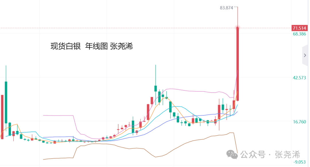 张尧浠：黄金、白银、原油年终行情总结概要及展望
