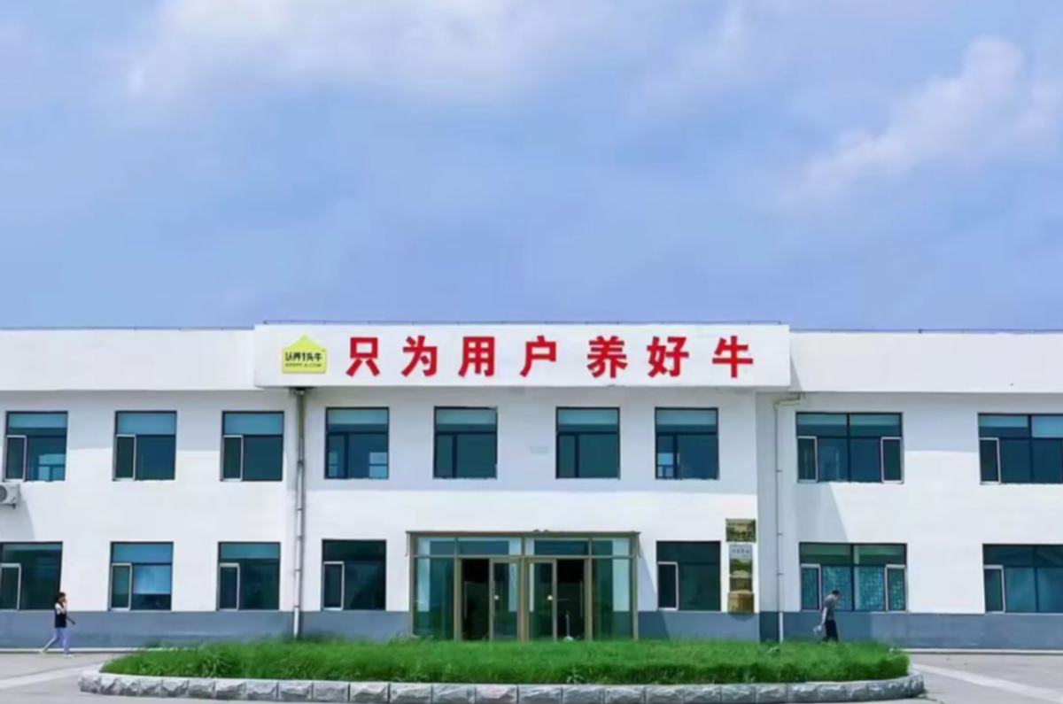 get?code=MzNmZmJiMWZhNWVjYjY3OGE4OGFhOGRjMjBkMDdlNWYsMTc2OTQ5MjEwNjk0MA==