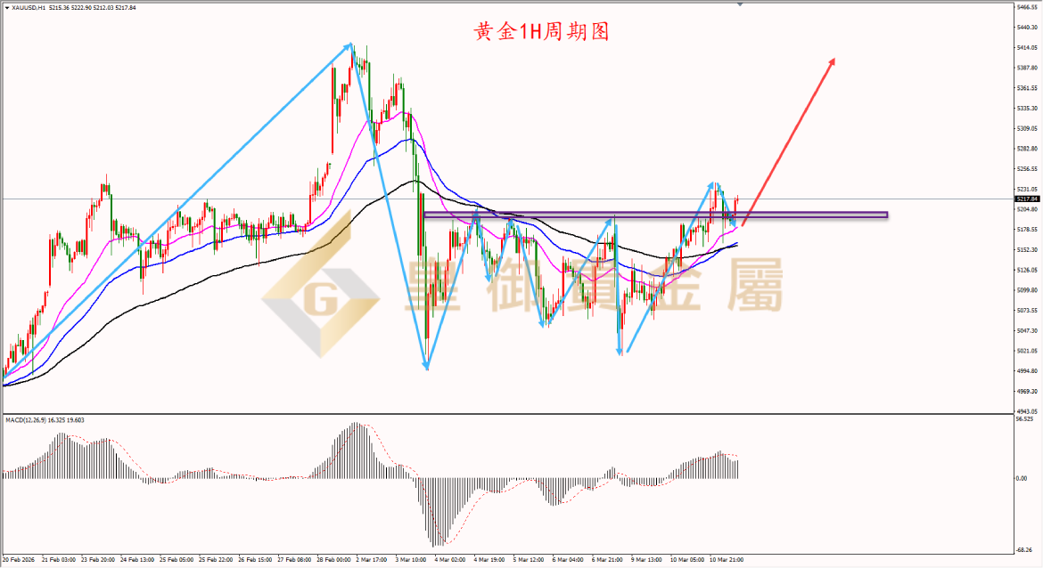 皇御黄金走势图