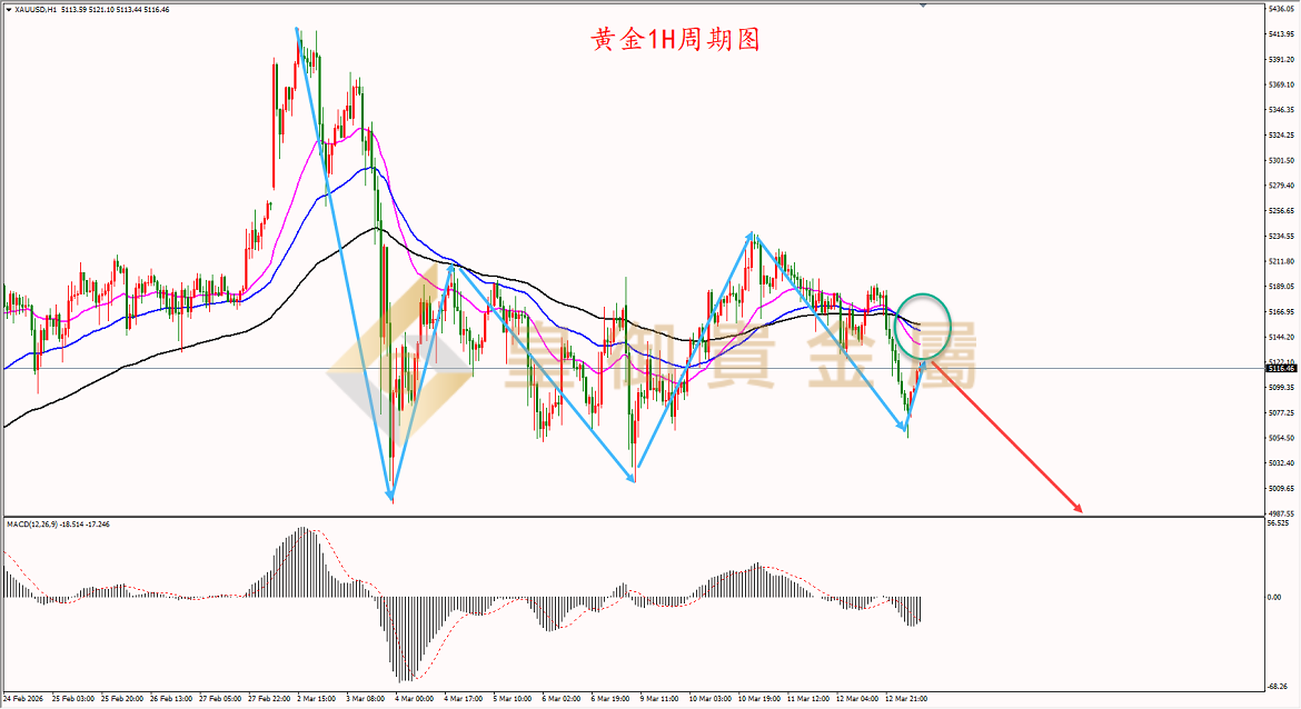 皇御黄金走势图