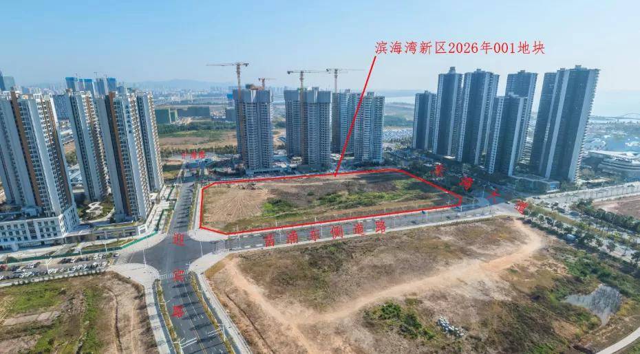 东莞首宗宅地13.1亿成交，滨海湾新区“产城人”融合加速(图2)