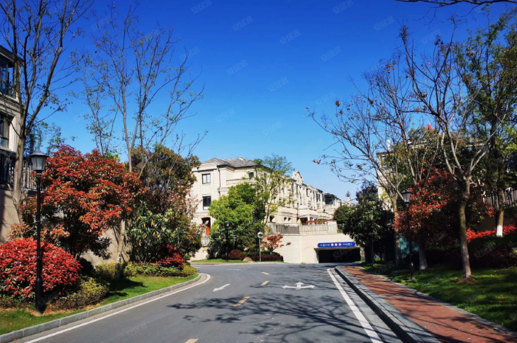 get?code=ZTM4OWIwMTcyYzk0NGJlMGYwMGU2MTNlNzdkNTE2MzMsMTc3NTEwNjU4MzE5Ng==