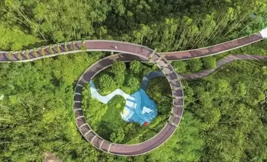 全国最“绿”省份再进阶！广东森林覆盖率达53.39%(图1)