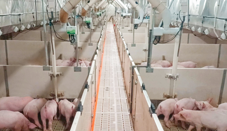 get?code=MzhkOWJkZWRhNzgxM2NhYTgxMzUzYTczMGY3ZTBkNzEsMTc3NzI2NDY2Nzk0OQ==