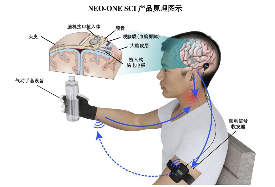 N5
