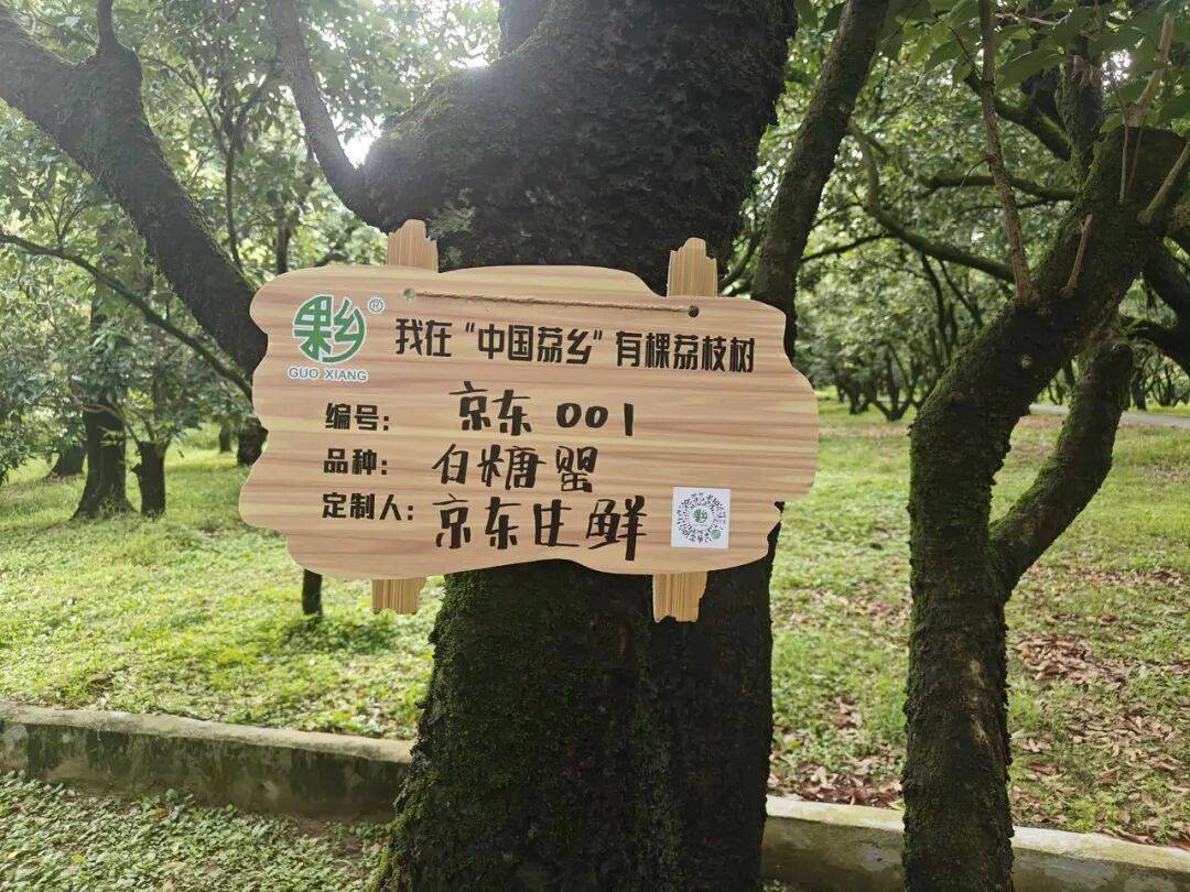 文章配图-5