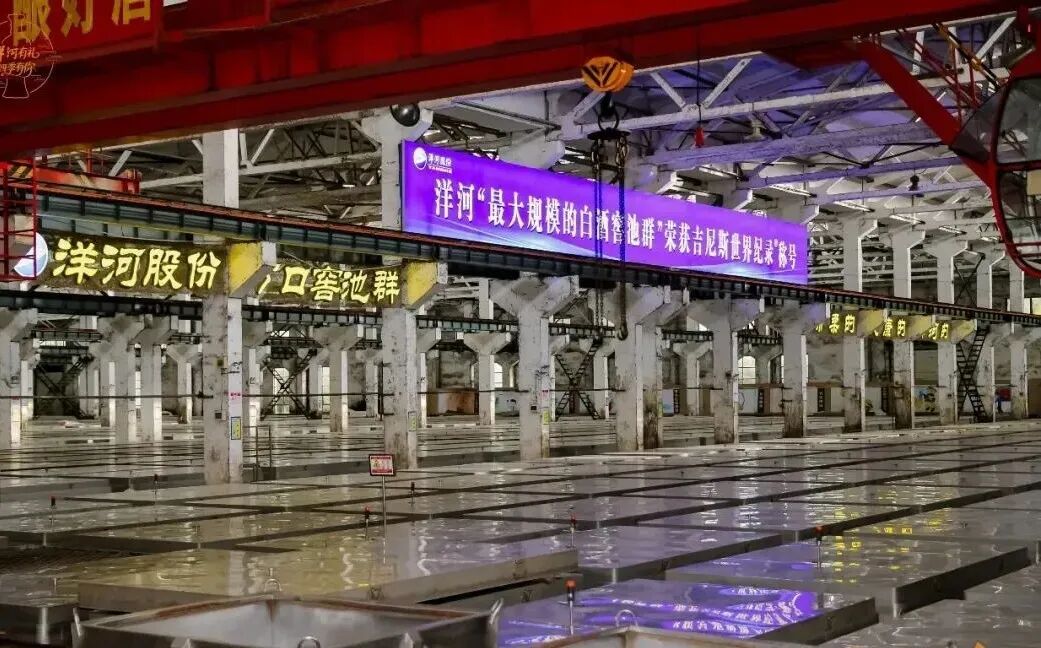 刀刃向内、质量为先 洋河股份“向远而行”