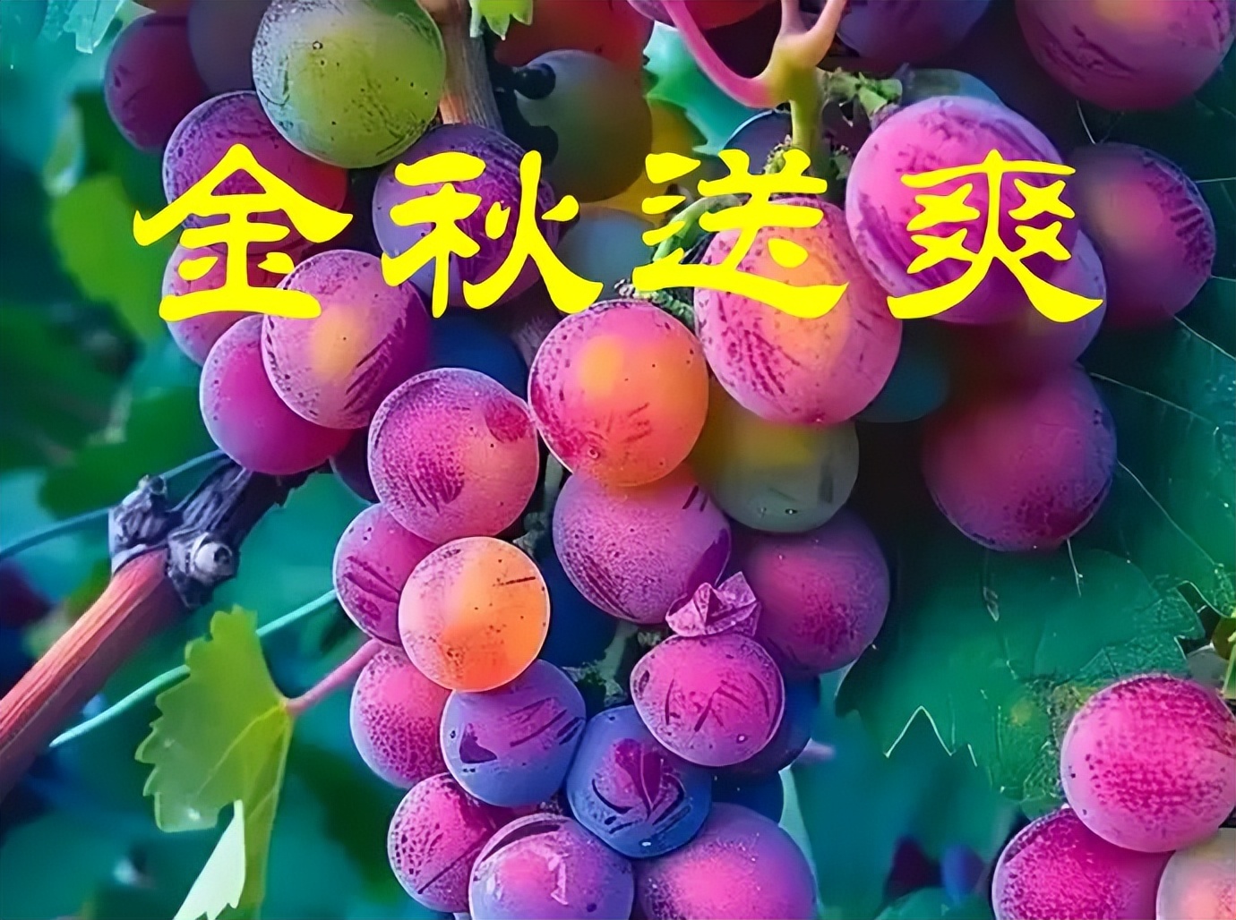 9.02股市早8点丨炒股哪有稳赚不赔的？有！跟庄社保基金和明