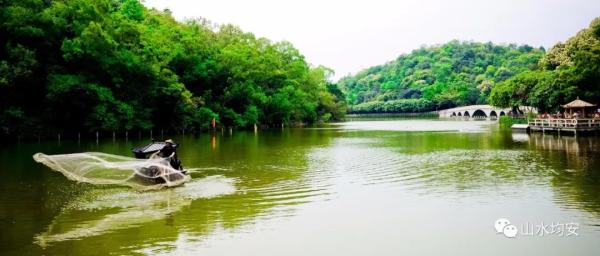 均安这块靓地靠近凫洲河！