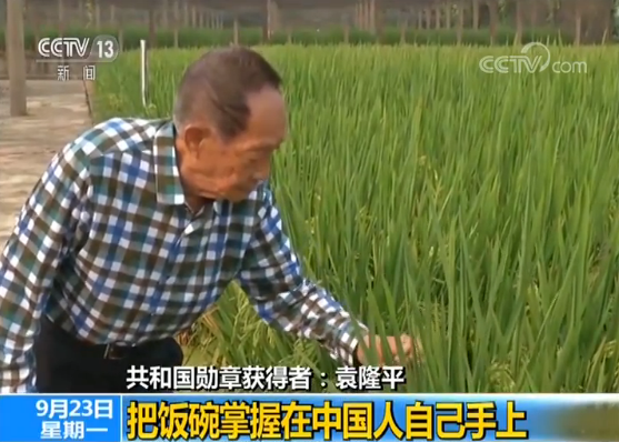 乘凉梦,就是追求水稻的高产,更高产梦;第二个梦是杂交水稻覆盖全球梦