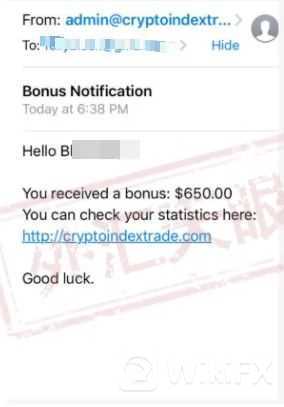 <b>关于CRYPTO FX</b>