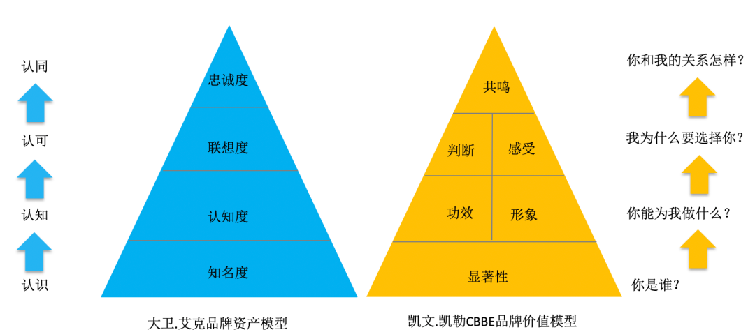 流量时代忽视品牌就是BOB全站失去未来(图4)