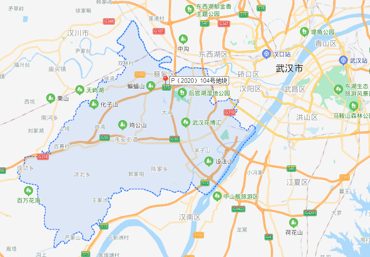 地块分析: 地块放眼武汉处于外环,位于蔡甸区北侧较为靠近东西湖区.