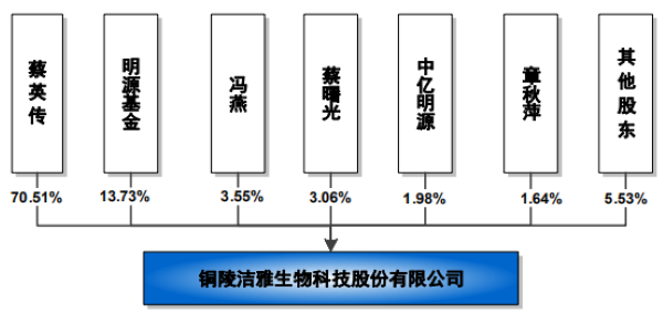 铜陵洁雅股份科技股份有限公司股权穿透图(来源：招股书) 