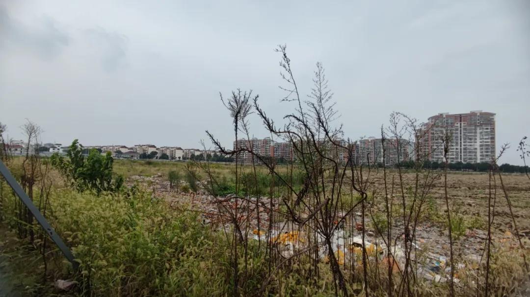 鸿山核心区域再上新! 鸿山核心区域再上新!