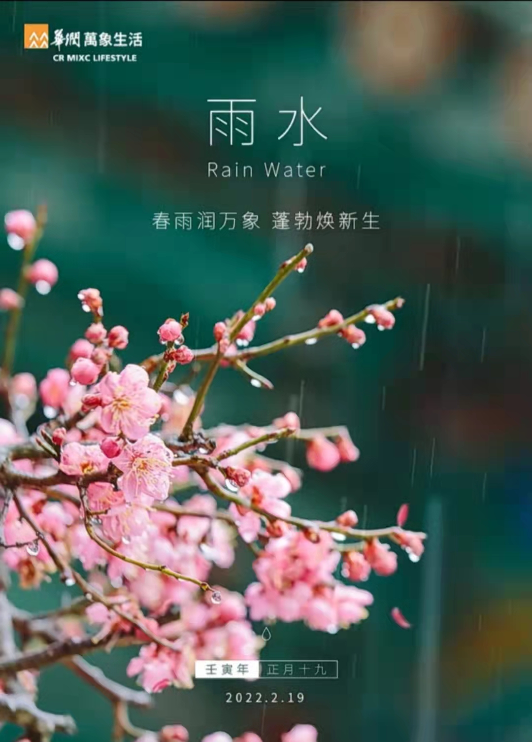 69692022年2月19日,农历正月十九,中国物企官宣海报话雨水.