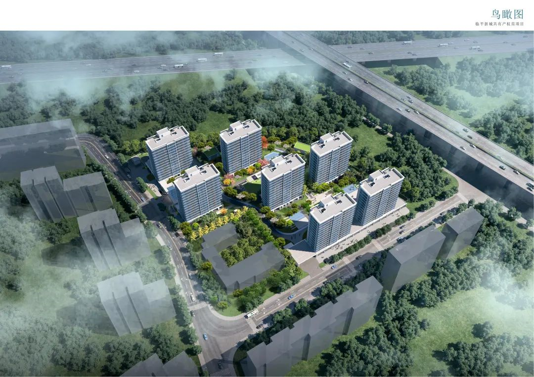 五折就可入手！杭州首个共有产权房案名定了！预计今年年底入市_中金在线财经号