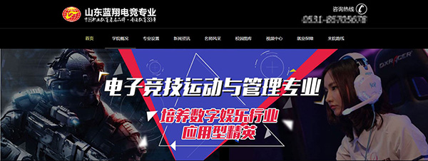电竞教育难以燎原(图5)