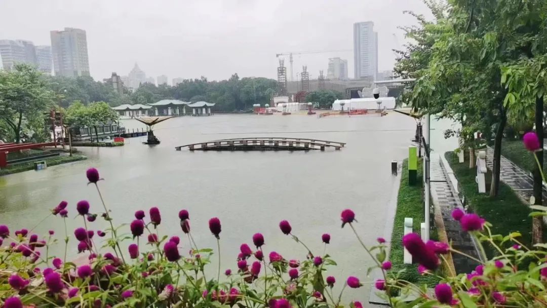 多图直击佛山暴雨!今天,佛山人都在乘风破浪..._中金在线财经号