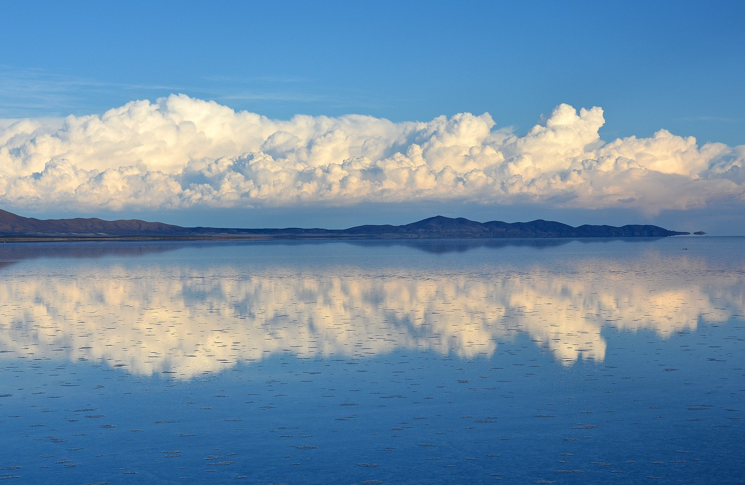 磷酸铁锂行业洗牌提速，万润新能笃定战略跨越周期