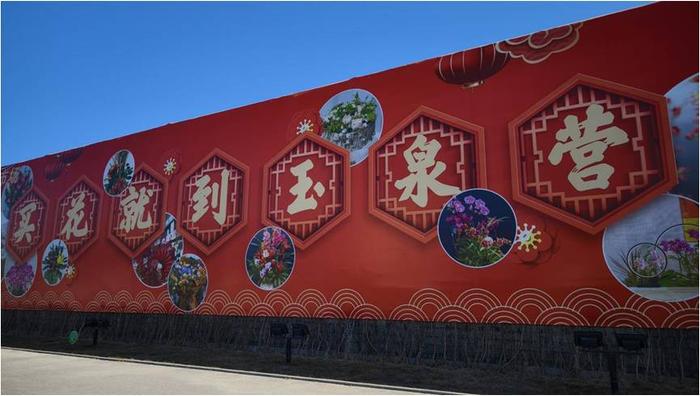 【新春走基层】逛花市，迎新春，红红火火过大年_中金在线财经号