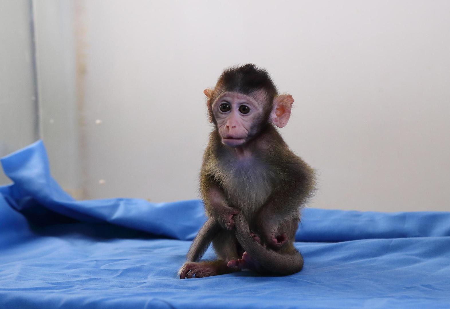 1765176775933333.png 5093b1cc0bb6b3bd3966ac5482c9e28f.png