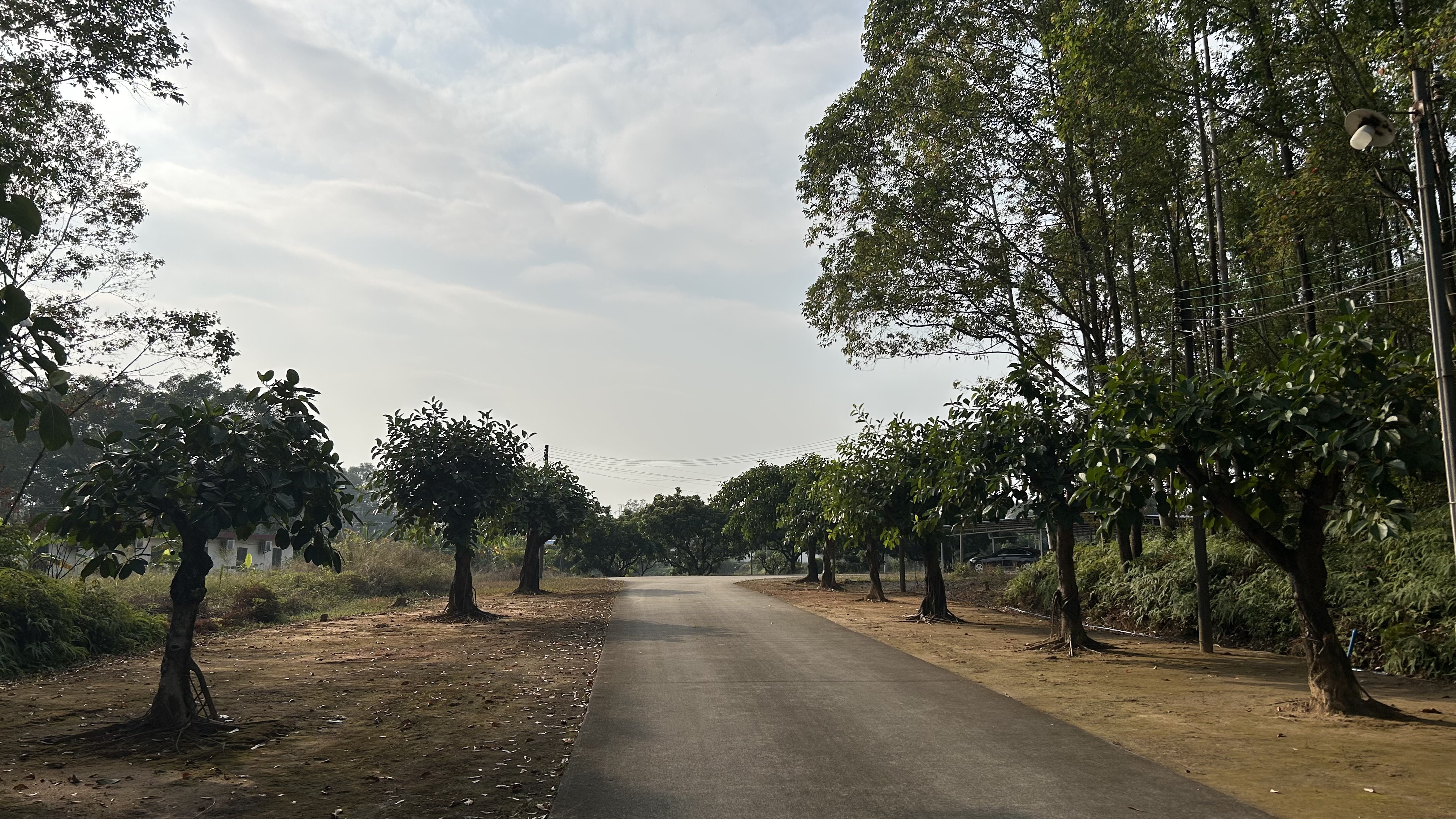 1765175641772660.jpg 4db918ddc1b113be81ff3a7f5cf543b8.jpg