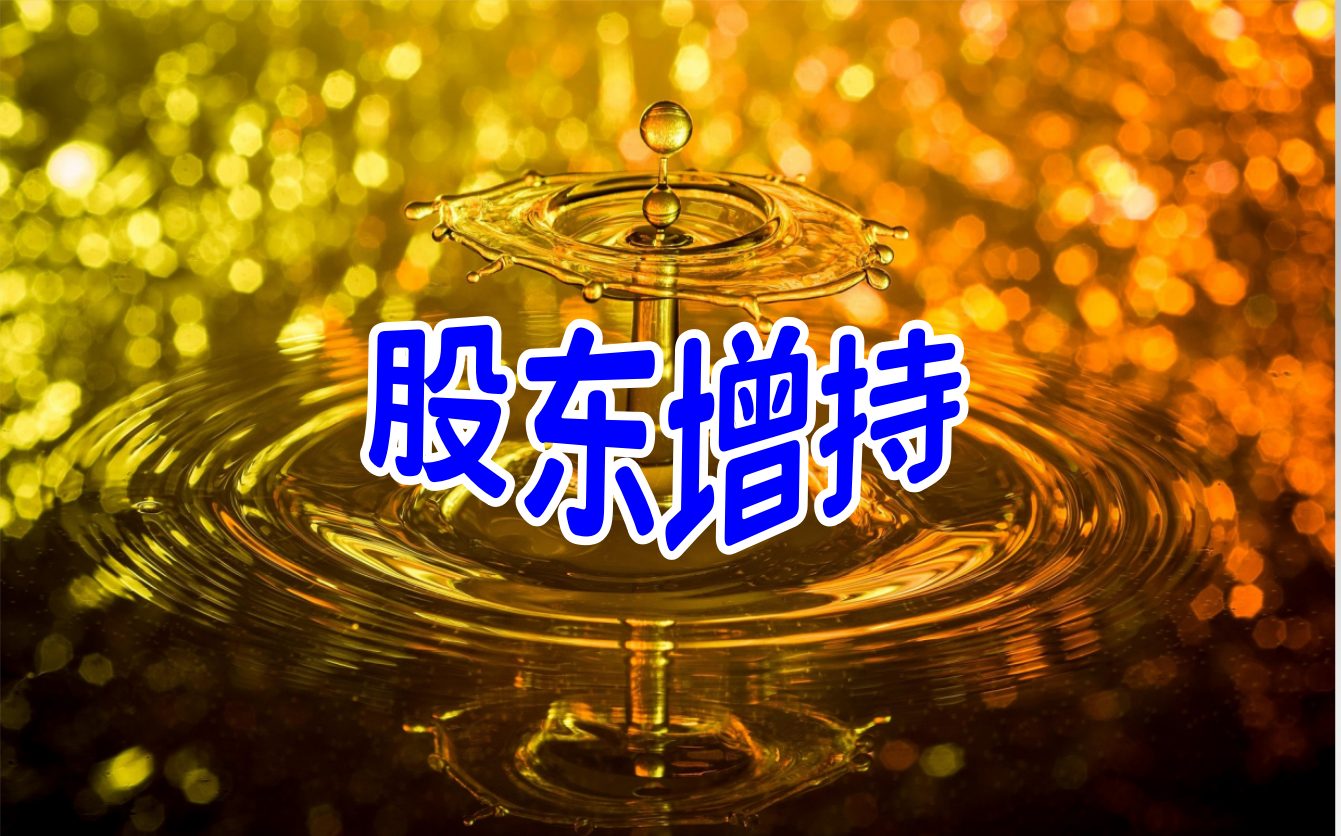 股东增持3.jpg