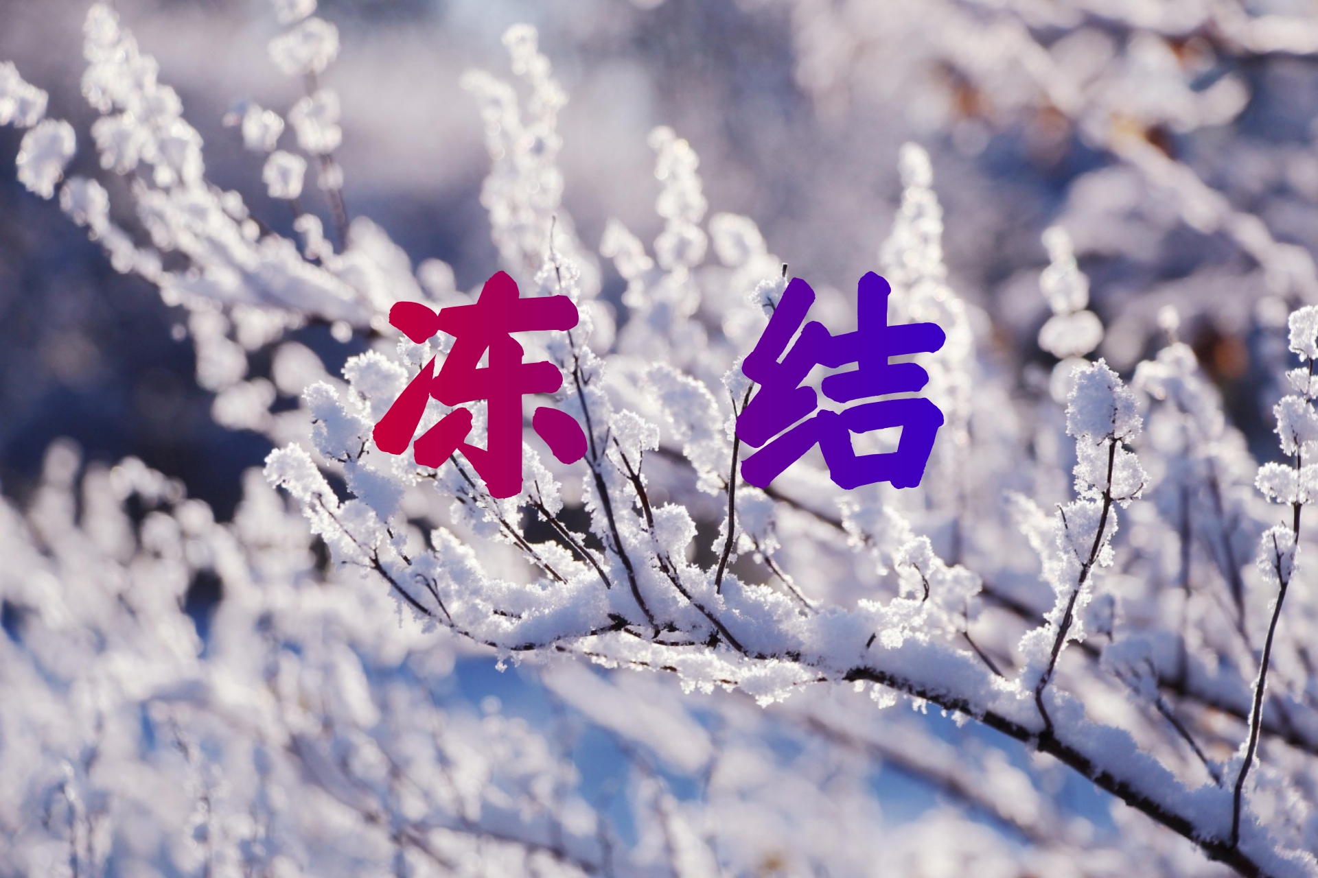 冻结3.jpg