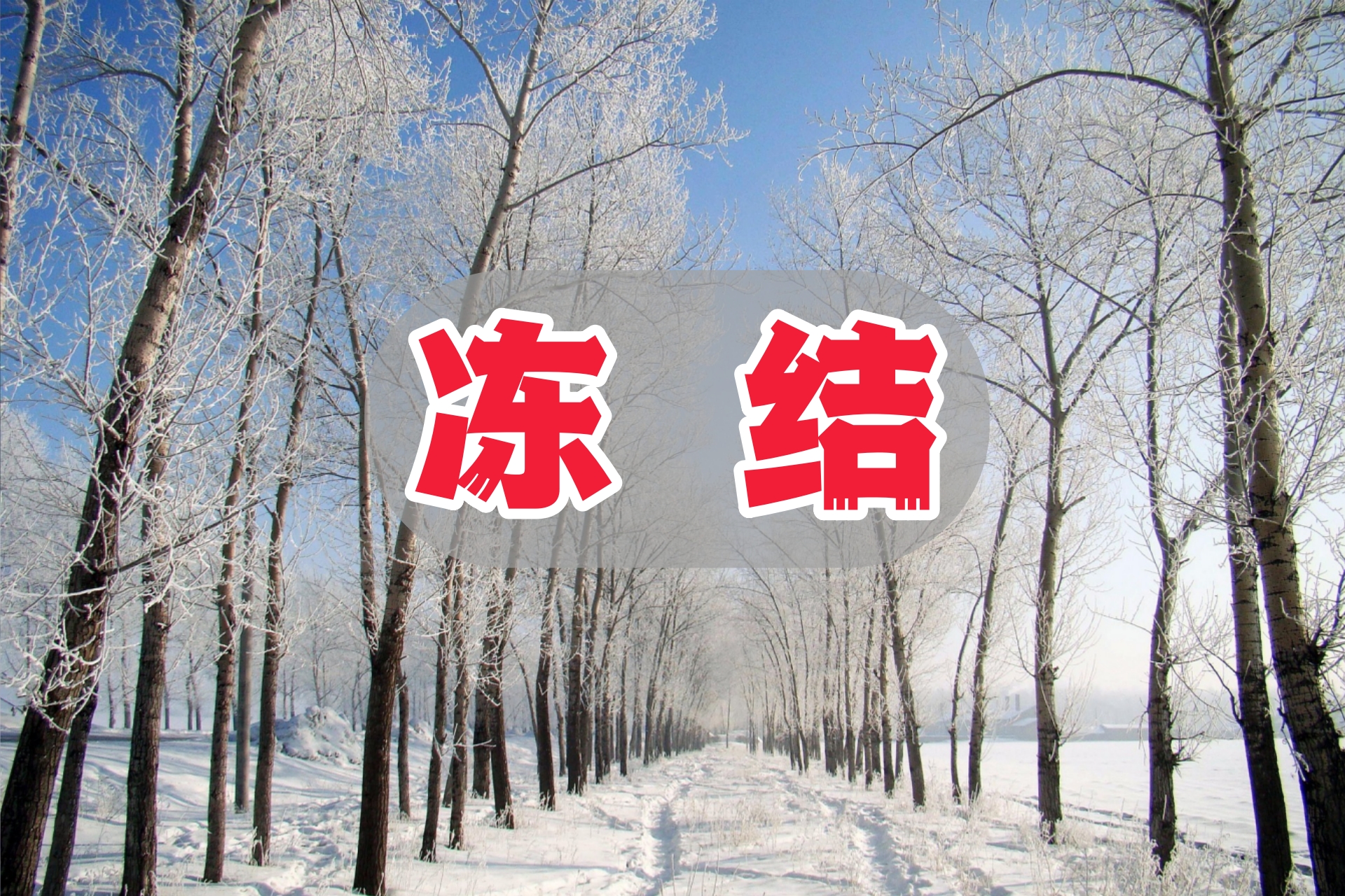 冻结4.jpg
