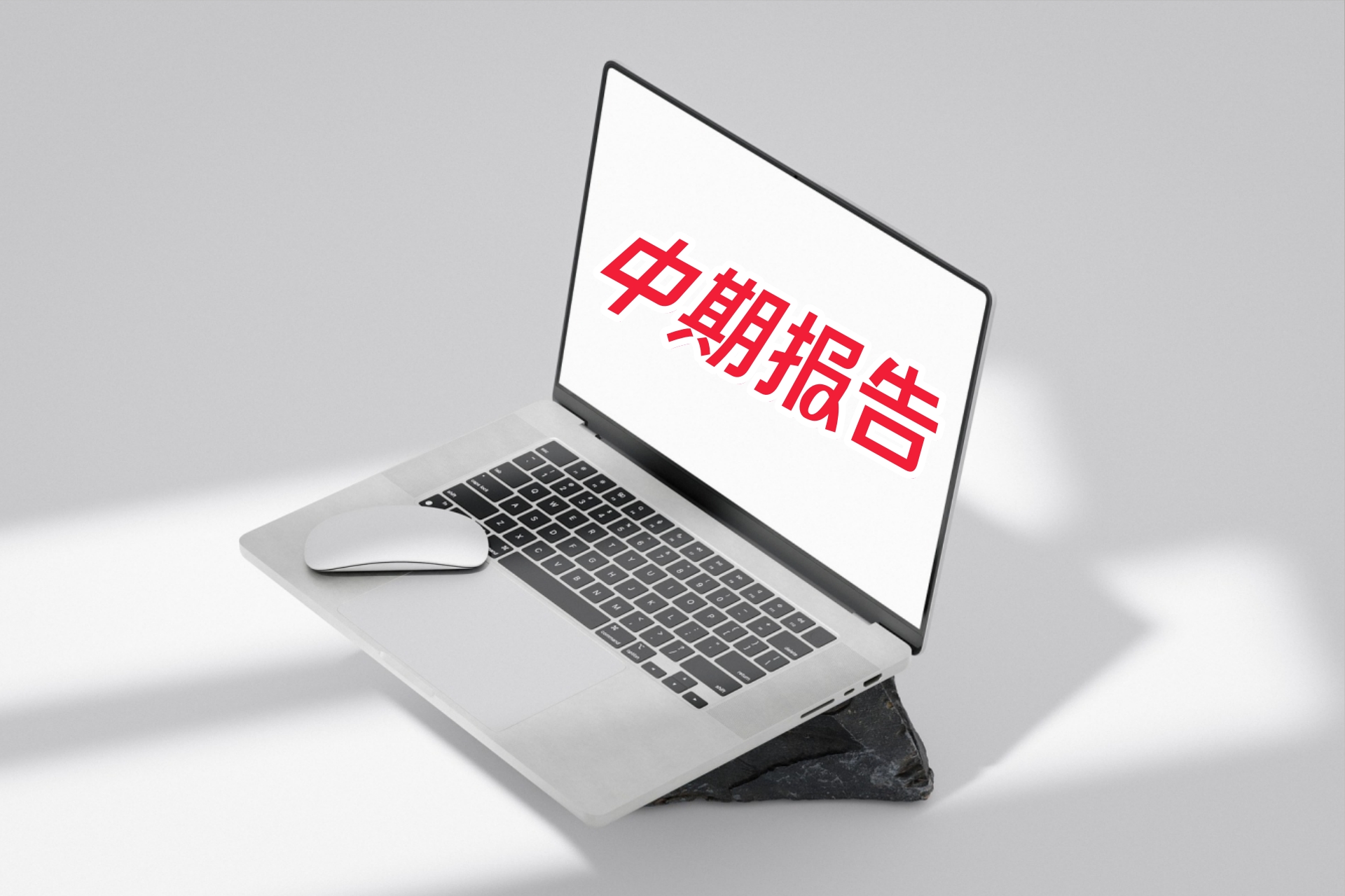 中期报告4.jpg