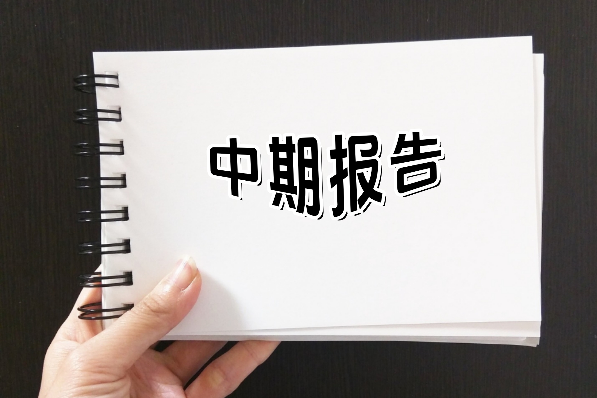 中期报告.jpg